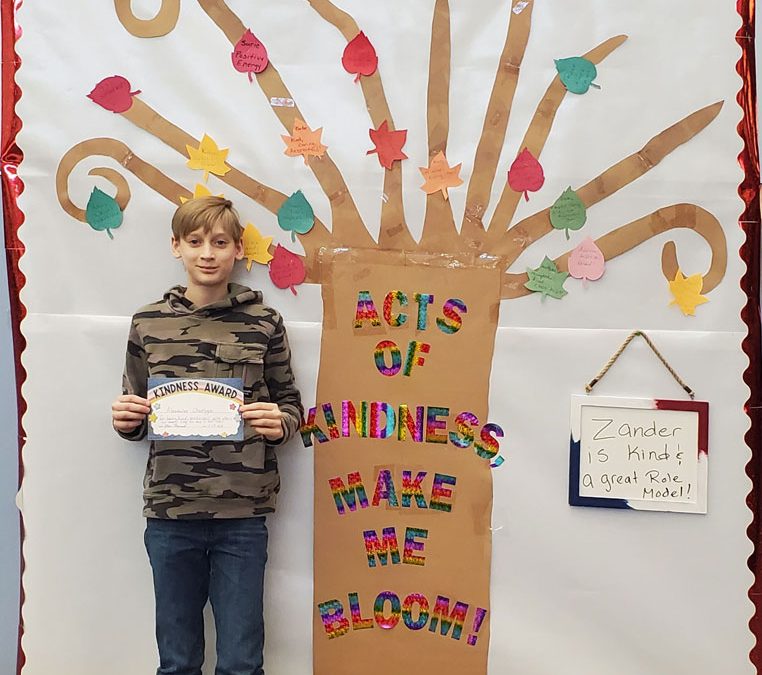 Preston School’s Kindness Tree!