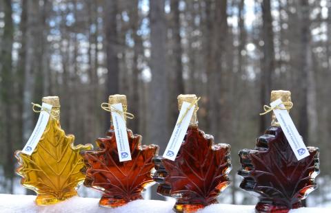 NEPA Maple Producers Offer Free Self-Guided Maple Tours with Breakfast